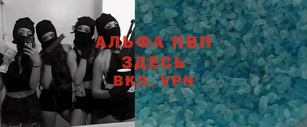 прущие грибы Гусь-Хрустальный