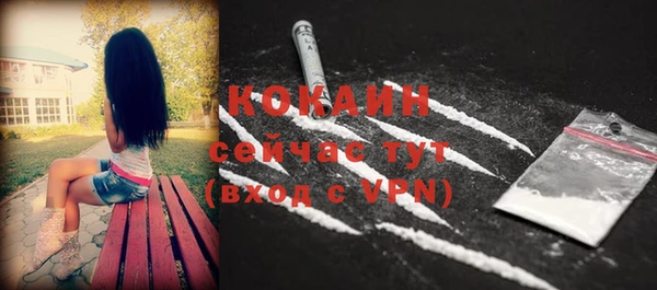прущие грибы Гусь-Хрустальный