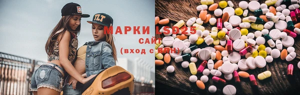 прущие грибы Гусь-Хрустальный